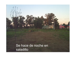 Se hace de noche en saladillo 