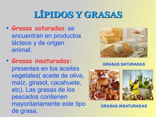 LÍPIDOS Y GRASAS

    Grasas saturadas: se
    encuentran en productos
    lácteos y de origen
    animal.

    Grasas insaturadas:           GRASAS SATURADAS
    presentes en los aceites
    vegetales( aceite de oliva,
    maíz, girasol, cacahuete,
    etc). Las grasas de los
    pescados contienen
    mayoritariamente este tipo    GRASAS INSATURADAS
    de grasa.
 