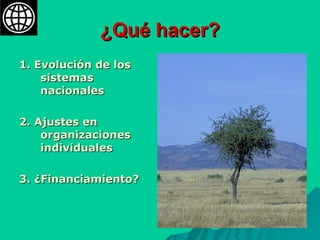 ¿Qué hacer? 1. Evolución de los sistemas nacionales 2. Ajustes en organizaciones individuales 3. ¿Financiamiento? 
