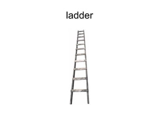 ladder 