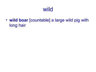 wild wild boar  [countable] a large wild pig with long hair 