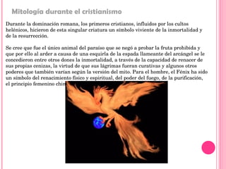 Durante la dominación romana, los primeros cristianos, influidos por los cultos helénicos, hicieron de esta singular criatura un símbolo viviente de la inmortalidad y de la resurrección.  Se cree que fue el único animal del paraíso que se negó a probar la fruta prohibida y que por ello al arder a causa de una esquirla de la espada llameante del arcángel se le concedieron entre otros dones la inmortalidad, a través de la capacidad de renacer de sus propias cenizas, la virtud de que sus lágrimas fueran curativas y algunos otros poderes que también varían según la versión del mito. Para el hombre, el Fénix ha sido un símbolo del renacimiento físico y espiritual, del poder del fuego, de la purificación, el principio femenino chino o yin y la inmortalidad.  Mitología durante el cristianismo 