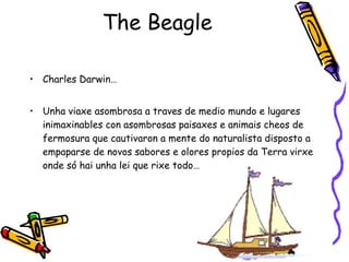 The Beagle Charles Darwin… Unha viaxe asombrosa a traves de medio mundo e lugares inimaxinables con asombrosas paisaxes e animais cheos de fermosura que cautivaron a mente do naturalista disposto a empaparse de novos sabores e olores propios da Terra virxe onde só hai unha lei que rixe todo… 