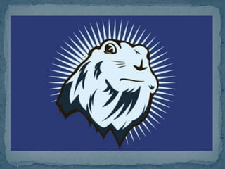 ¿Con cual me quedo?