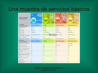 Una muestra de servicios básicos 