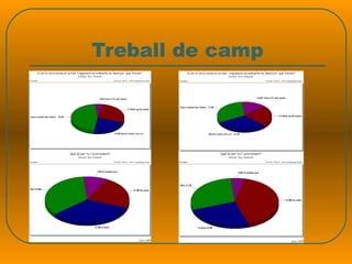 Treball de camp 