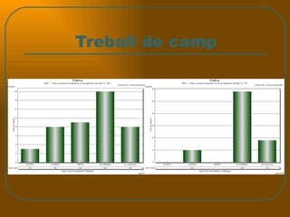 Treball de camp 