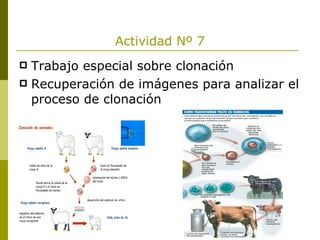 Actividad Nº 7 Trabajo especial sobre clonación Recuperación de imágenes para analizar el proceso de clonación 