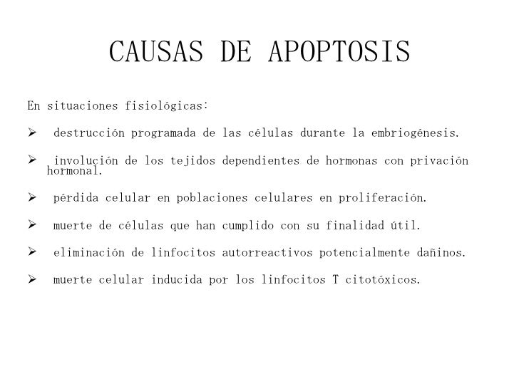 Resultado de imagen para consecuencias de la apoptosis
