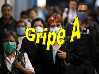 Gripe A 