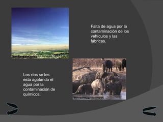 Falta de agua por la contaminación de los vehículos y las fábricas. Los ríos se les esta agotando el agua por la contaminación de químicos. 