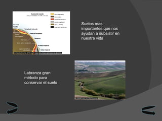 Suelos mas importantes que nos ayudan a subsistir en nuestra vida Labranza gran método para conservar el suelo 