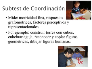 Mide: motricidad fina, respuestas grafomotrices, factores perceptivos y representacionales.  Por ejemplo: construir torres con cubos, enhebrar aguja, reconocer y copiar figuras geométricas, dibujar figuras humanas.  