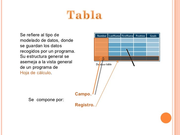Elementos de la base de datos