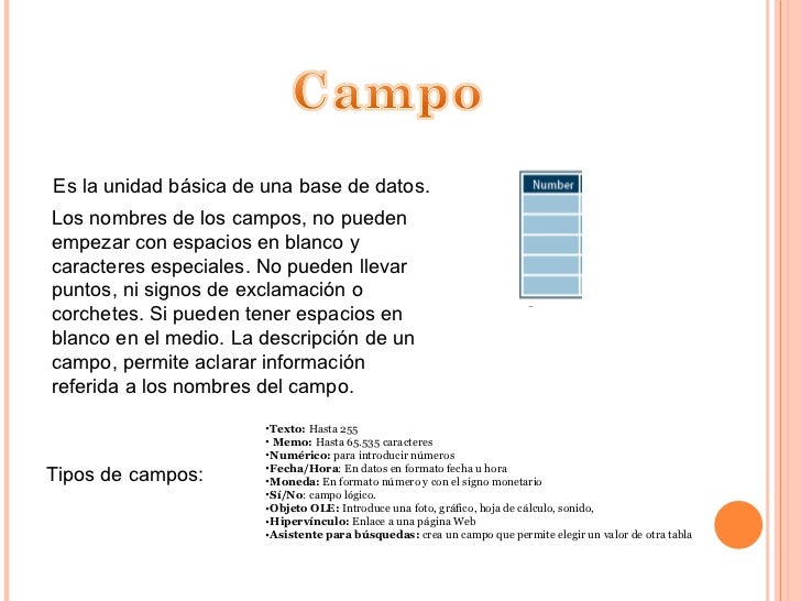 Elementos de la base de datos