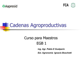 Cadenas Agroproductivas Curso para Maestros  EGB 1 ing. Agr. Pablo E Guelperin Est. Agronomía  Ignacio Boschetti 