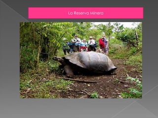 DEPARTAMENTO DE VENTAS Elaboración de nuevos paquetes y  productosConsolidación y seguimiento de clientesResúmenes de VentasPromociones y descuentosVentas directas o  a través de otros medios (Internet , trípticos etc.)