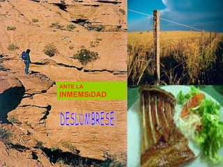 ANTE   LA   INMEMS I DAD DESLUMBRESE! 