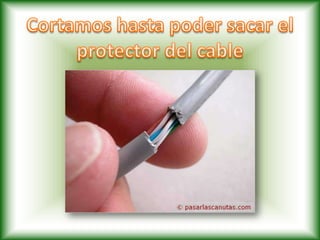 Estiramos y ordenamos los pares que antes estaban trenzados