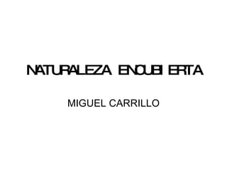 NATURALEZA ENCUBIERTA MIGUEL CARRILLO 