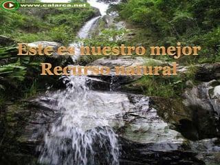 Este es nuestro mejorRecurso natural