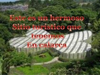 Este es un hermosoSitio turístico que tenemosEn calarca