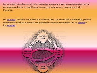 Los recursos naturales son el conjunto de elementos naturales que se encuentran en la
naturaleza de forma no modificada, escasos con relación a su demanda actual o
Potencial.


Los recursos naturales renovables son aquellos que, con los cuidados adecuados, pueden
mantenerse e incluso aumentar. Los principales recursos renovables son las plantas y
los animales.
 