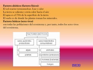 Factores abióticos (factores físicos):
El sol reactor termonuclear. Luz y calor
La tierra se calienta y envía calor hacia el aire
El agua es el 73% de la superficie de la tierra
El suelo es de donde las plantas toman los minerales.
Factores bióticos (seres vivos)
son todas las poblaciones del ecosistema y, por tanto, todos los seres vivos
del ecosistema.




                                                                     INICIO
 