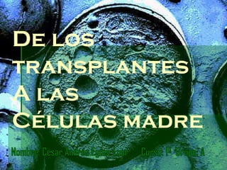 Nombre: César Andrés Egüez Loor  Curso: 1º  Grupo: A  De los transplantes  A las  Células madre 
