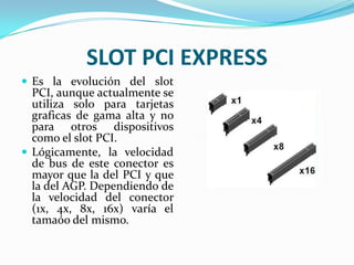 SLOT PCI EXPRESS Es la evolución del slot PCI, aunque actualmente se utiliza solo para tarjetas graficas de gama alta y no para otros dispositivos como el slot PCI.Lógicamente, la velocidad de bus de este conector es mayor que la del PCI y que la del AGP. Dependiendo de la velocidad del conector (1x, 4x, 8x, 16x) varía el tamaóo del mismo.