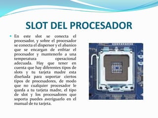 SLOT DEL PROCESADOREn este slot se conecta el procesador, y sobre el procesador se conecta el dispersor y el abanico que se encargan de enfriar el procesador y mantenerlo a una temperatura operacional adecuada. Hay que tener en cuenta que hay diferentes tipos de slots y tu tarjeta madre esta diseñada para soportar ciertos tipos de procesadores, de modo que no cualquier procesador le queda a tu tarjeta madre, el tipo de slot y los procesadores que soporta puedes averiguarlo en el manual de tu tarjeta.
