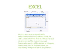 EXCEL Excel es un programa de aplicación desarrollado por la compañía Microsoft en 1987. La característica de este producto es que se compone de filas y columnas, cuya intersección son las celdas, donde se introduce información, la cual después puede ser explotada y manipulada por el propio Excel.  
