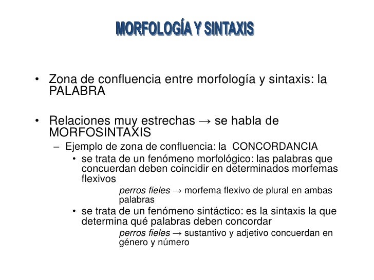 Morfologìa