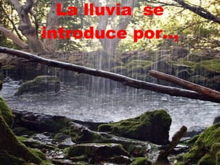 La lluvia  se introduce por.., 