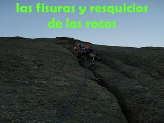 las fisuras y resquicios de las rocas 