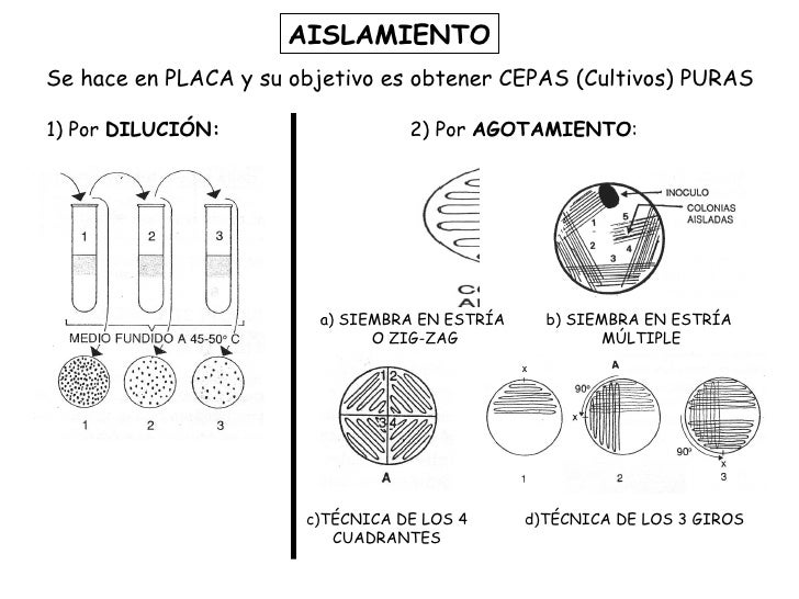 PresentacióN1