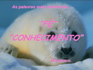 As palavrasmaispoderosas….“FÉ”“CONHECIMENTO”Busque-o.