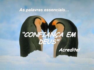 As palavras essenciais…“CONFIANÇA EM DEUS"Acredite!