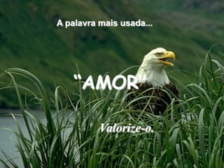 A palavra mais usada...“AMOR"Valorize-o.