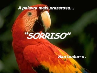 A palavra mais prazerosa…“SORRISO"Mantenha-o.