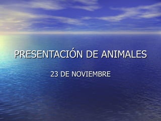 PRESENTACIÓN DE ANIMALES 23 DE NOVIEMBRE 