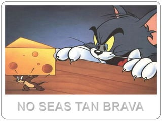 NO SEAS TAN BRAVA 
