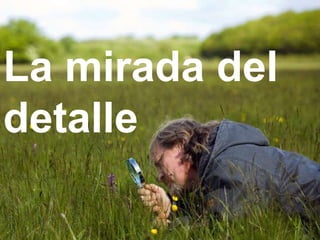 La mirada del detalle 