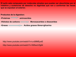 El quilo esta compuesto por moleculas simples que pueden ser absorbidas por el intestino y sustancias de desecho no digeridas que van a conformar las heces que se expulsan al exterior. Productos de la digestion: -Proteínas aminoacidos -Hidratos de carbono Monosacaridos o disacaridos -Grasas Acidos grasos libres+glicerina http://www.youtube.com/watch?v=XMIwoVZglt4 http://www.youtube.com/watch?v=u-s58MEyoiE 