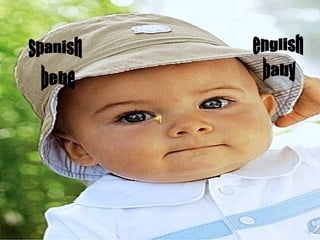 spanish english baby bebe 