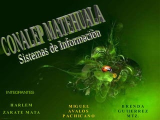 CONALEP MATEHUALA INTEGRANTES HARLEM ZARATE MATA MIGUEL AVALOS PACHICANO BRENDA GUTIERREZ MTZ. Sistemas de Informaciòn 