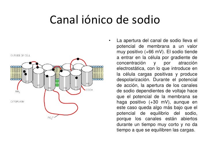 trabajo de bioquimica