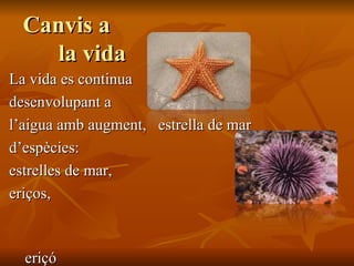 Canvis a  la vida  La vida es continua  desenvolupant a l’aigua amb augment,  estrella de mar d’espècies:  estrelles de mar,  eriços,  eriçó  