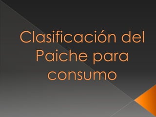Clasificación del Paichepara consumo 
