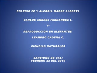 COLEGIO FE Y ALEGRIA MADRE ALBERTA     CARLOS ANDRES FERNANDEZ L.   7ª   REPRODUCCION EN ELEFANTES    LEANDRO CADENA C.     CIENCIAS NATURALES       SANTIOGO DE CALI FEBRERO 22 DEL 2010 